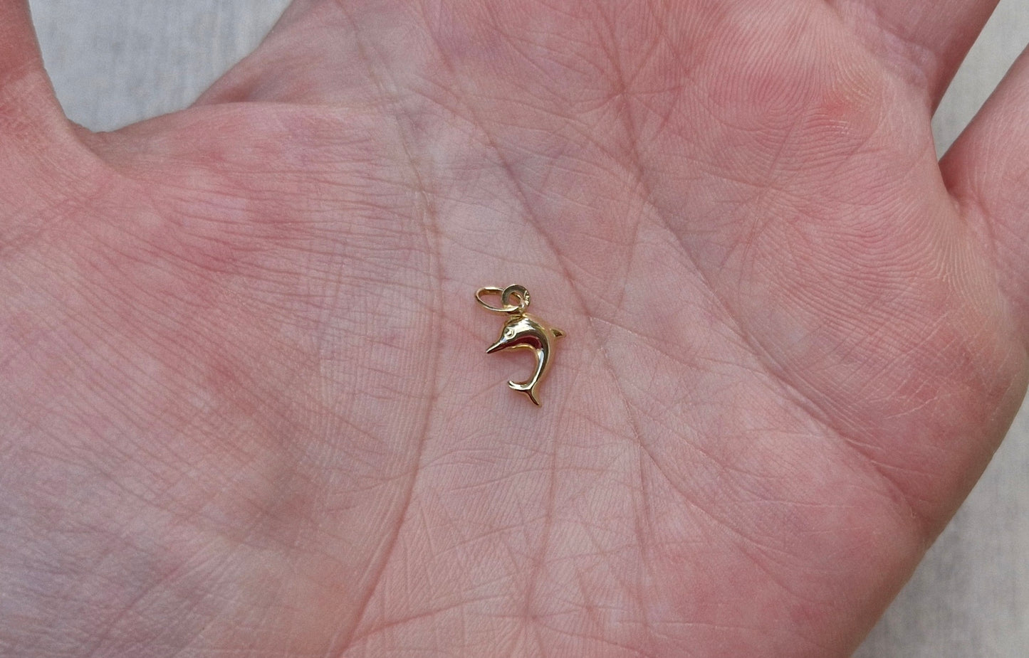 9ct Gold Dolphin & Faith, Hope, Charity - Charm for Bracelet