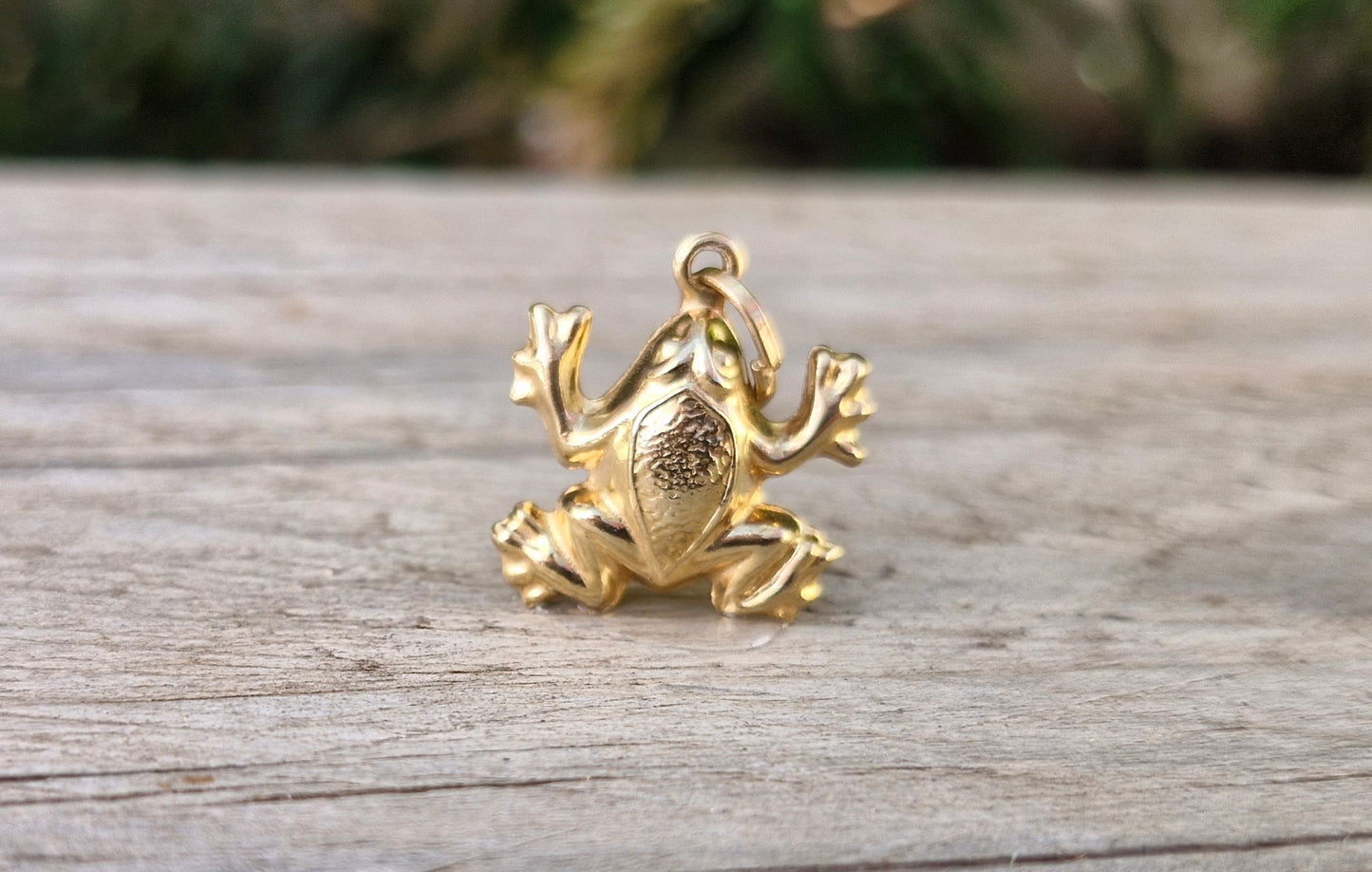 9ct Yellow Gold Frog Pendant