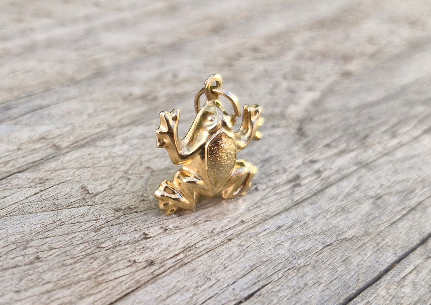 9ct Yellow Gold Frog Pendant