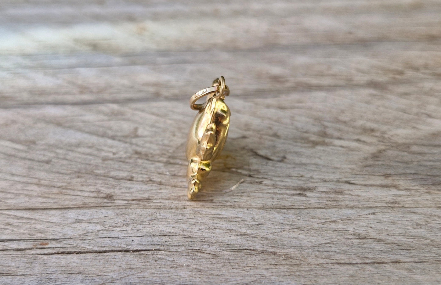 9ct Yellow Gold Frog Pendant