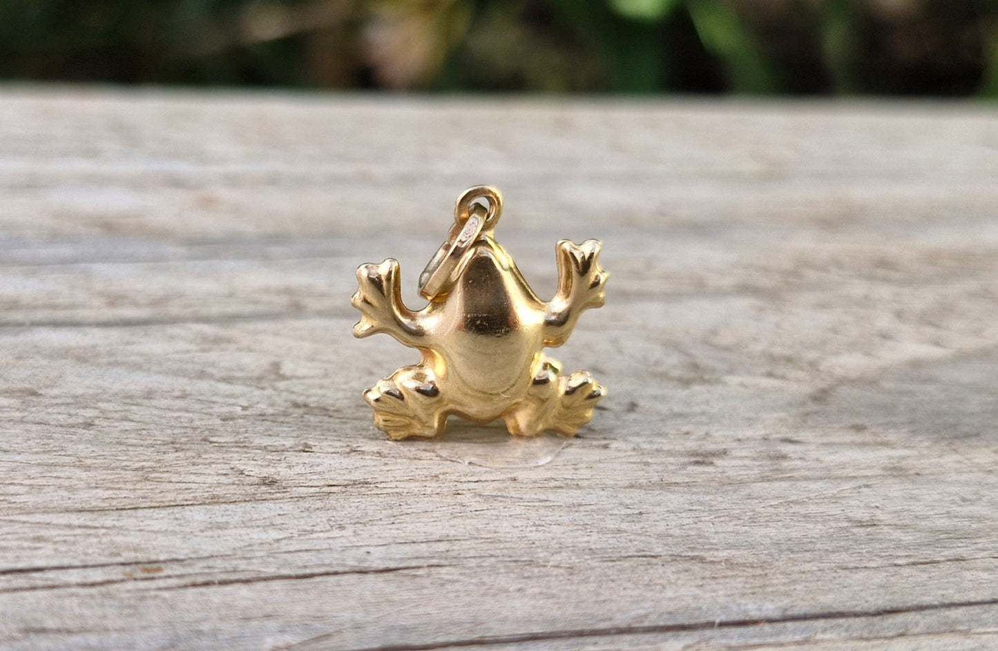 9ct Yellow Gold Frog Pendant